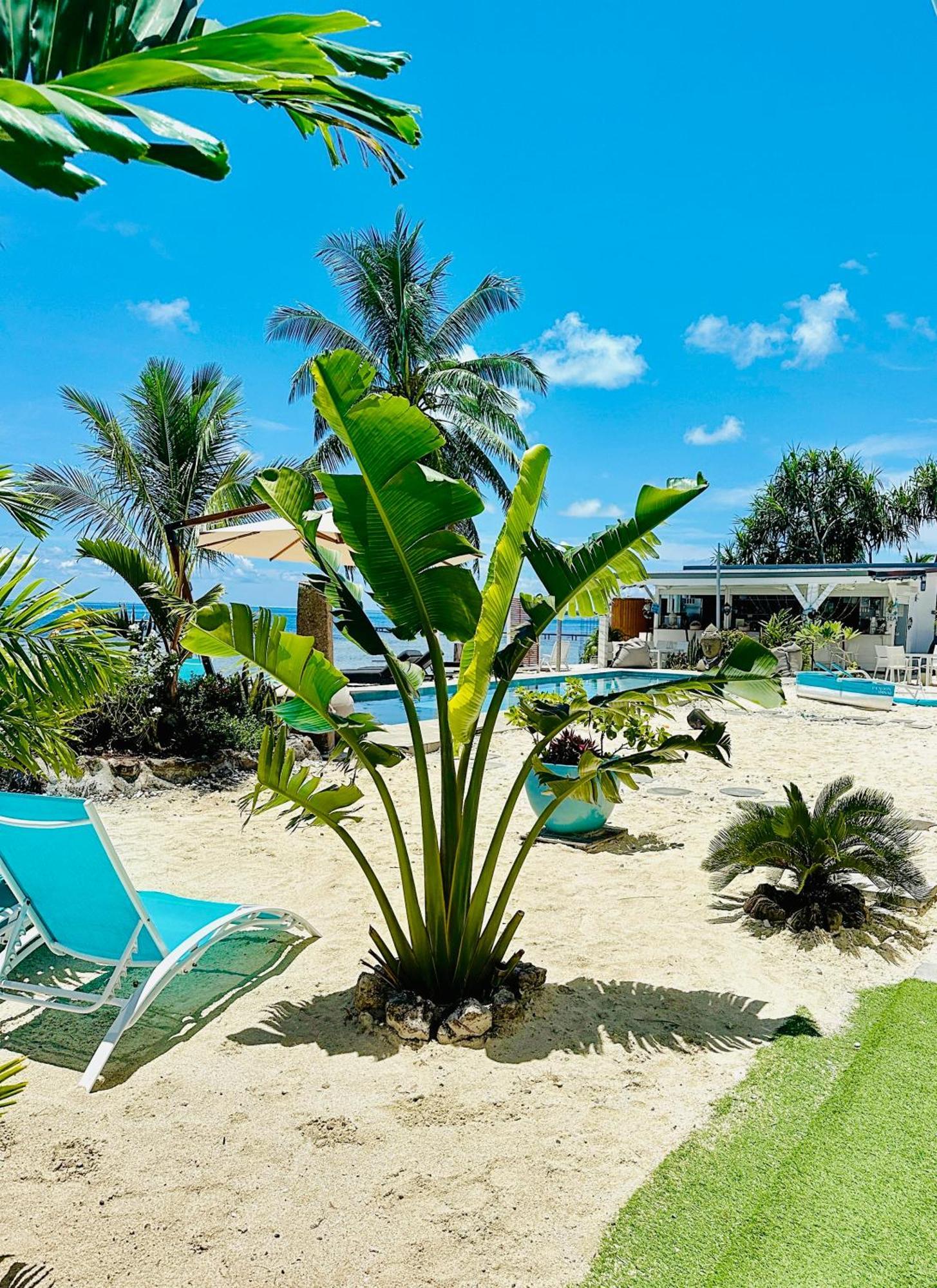 Pension Irivai, Appartement Rava 1 Chambre Bord De Mer อุตูโรอา ภายนอก รูปภาพ
